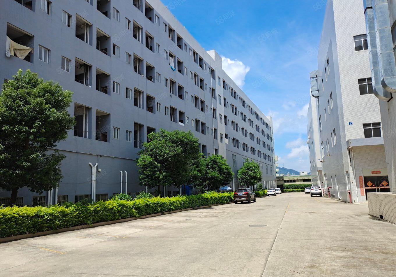 石岩石龙仔精装300平至5000平一楼仓库厂房出租转租分租