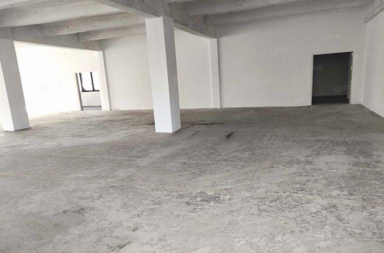 盐田区盐田东海道附近标准一楼500厂房平，楼上小分租170