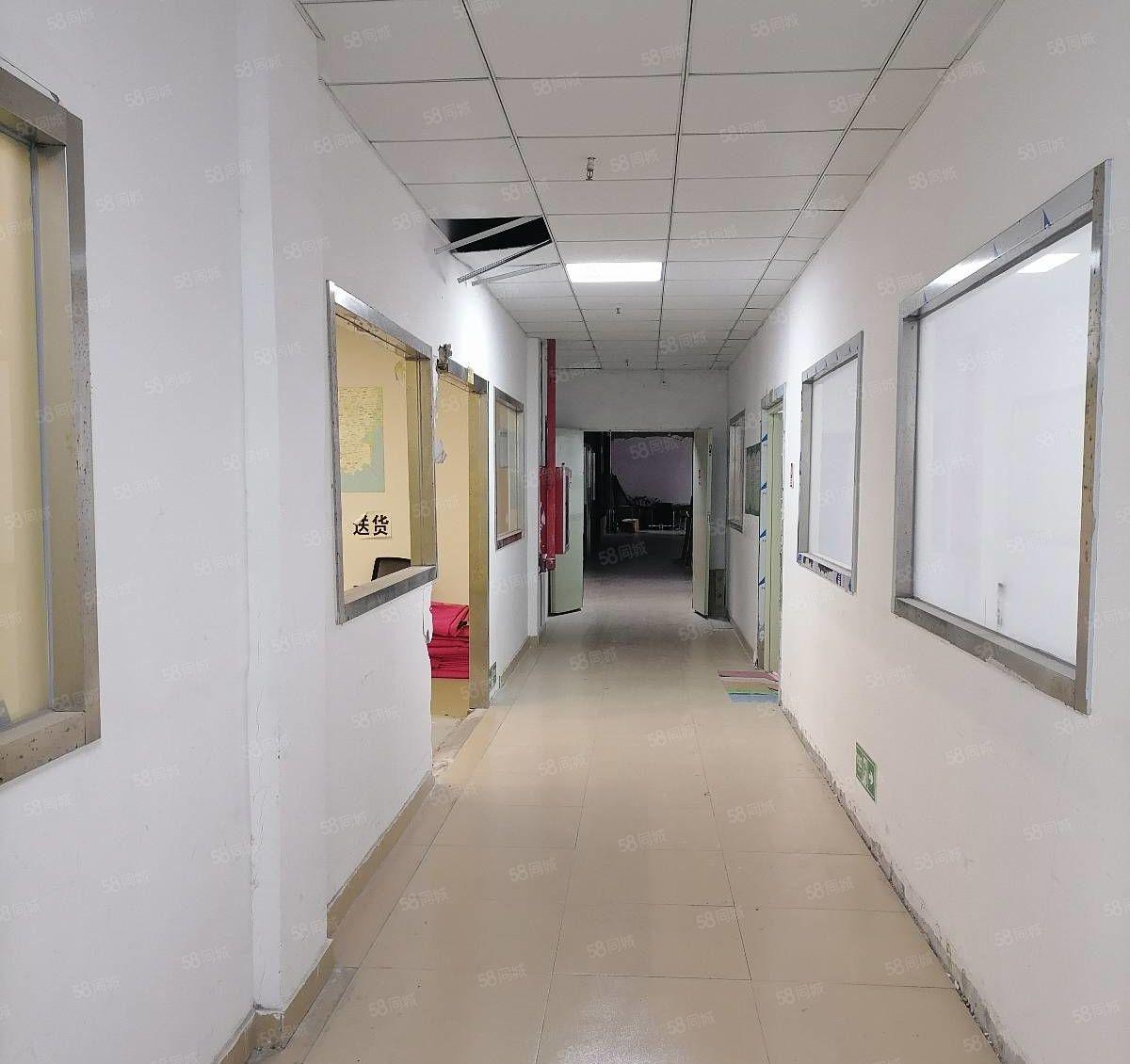 南山海润超大型体育园区高层200平厂房仓库招租