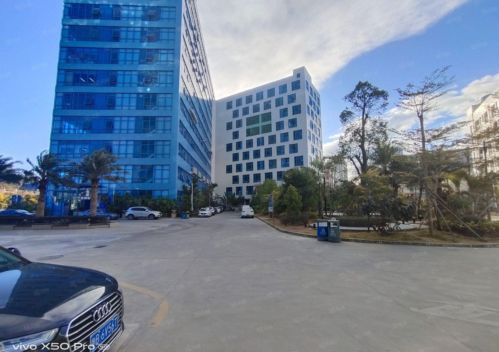 南山区蛇口一手业主直租实际面积1000平报价100元合同5年