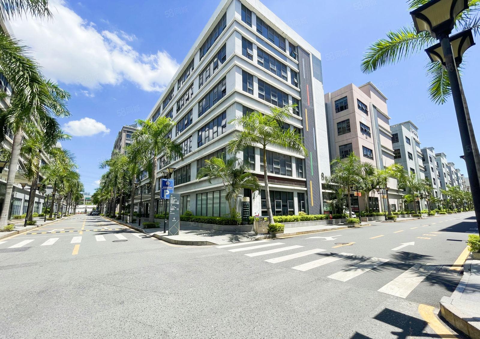 南山区 整栋 5000平方 企业总部 带豪华装修 组装研发