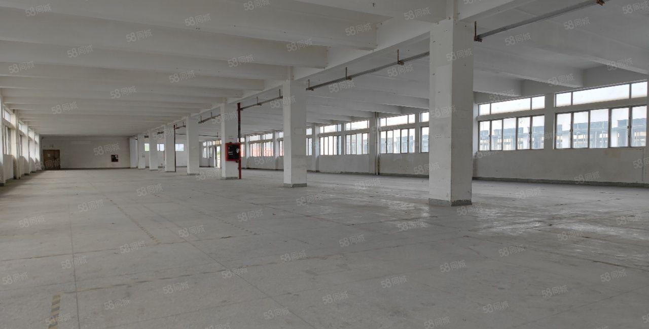 一楼1700平整层厂房仓库 西丽阳光工业区南北通650平起租