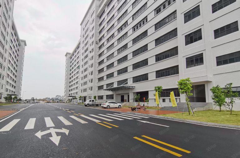 100平起租西丽阳光工业区厂房出租25元起一楼仓库招租合租