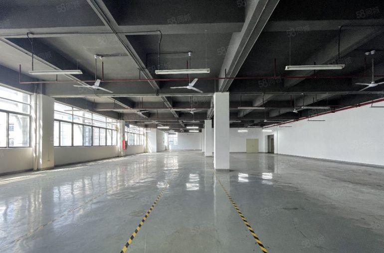 西丽百旺创新园 独院整层1350平至7800平 办公厂房分租