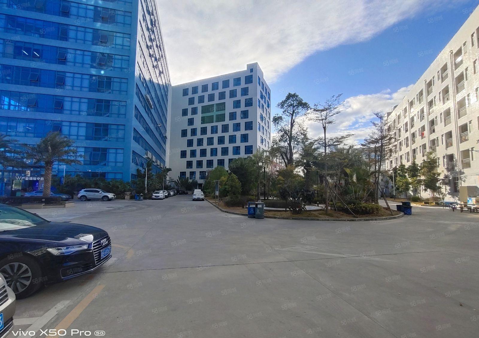 南山区蛇口一手业主直租实际面积1000平报价100元合同5年