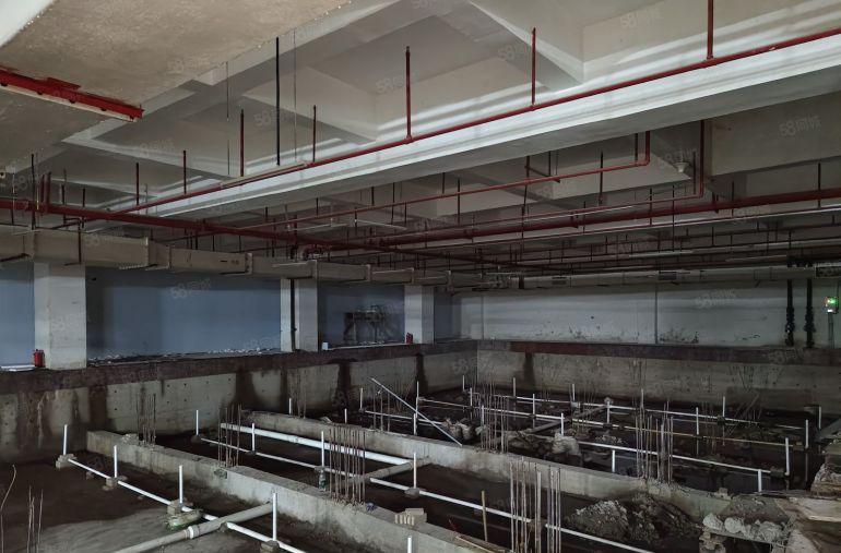 一手业主直租南山科技园1250平方现成游泳馆 适合集训基地