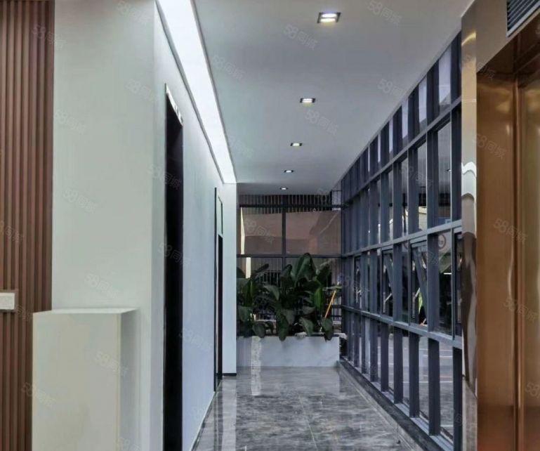 南山西丽留仙洞地铁口 精装修1600平办公电商科技等等出租