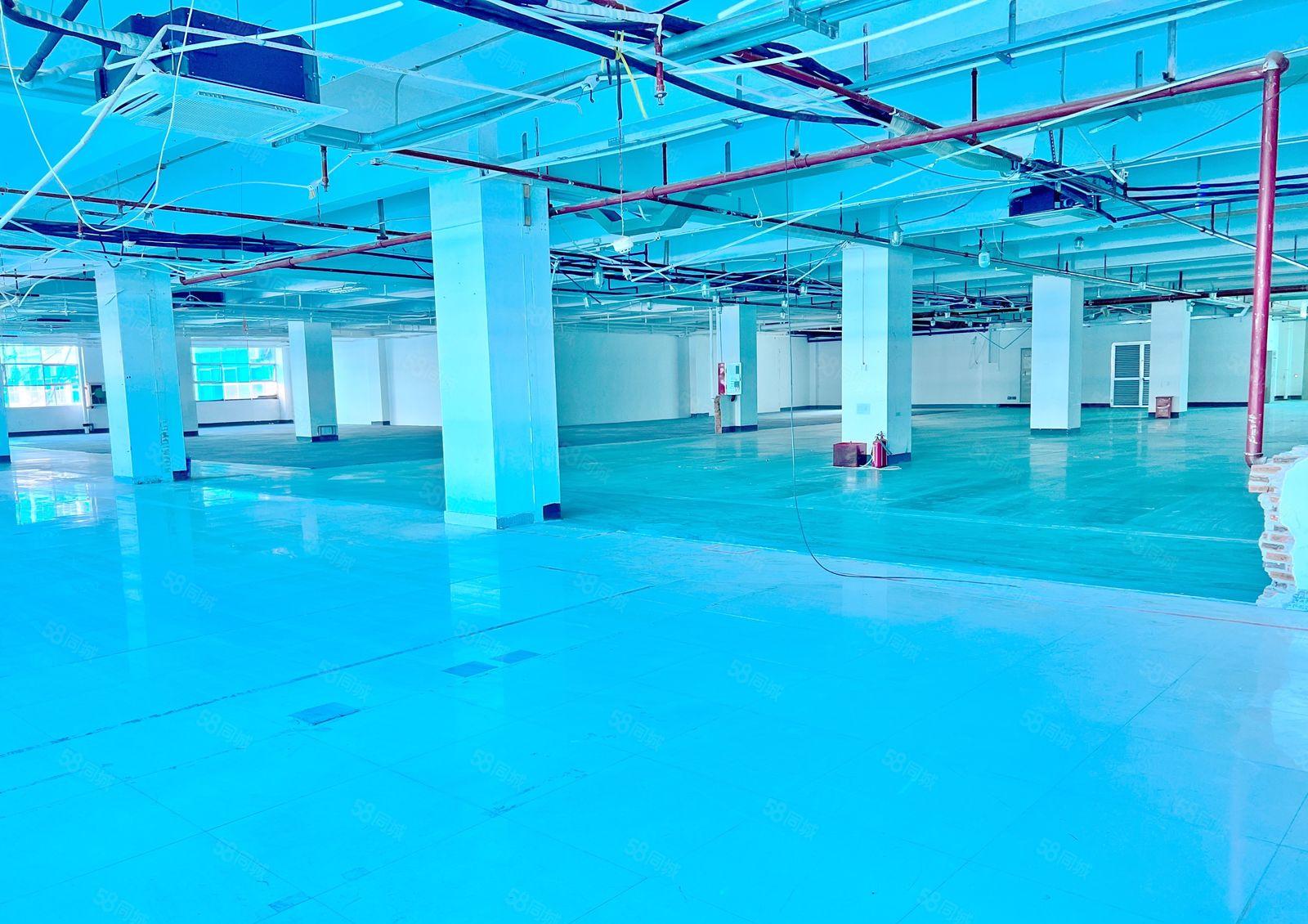 一手直租南山西丽百旺大型工业区 2000平 方正采光好