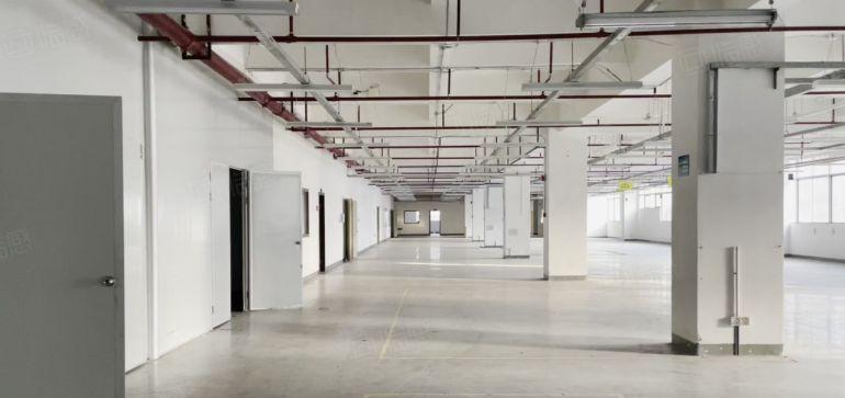 宝安兴东 红本厂房整层2650平方，高使用率85