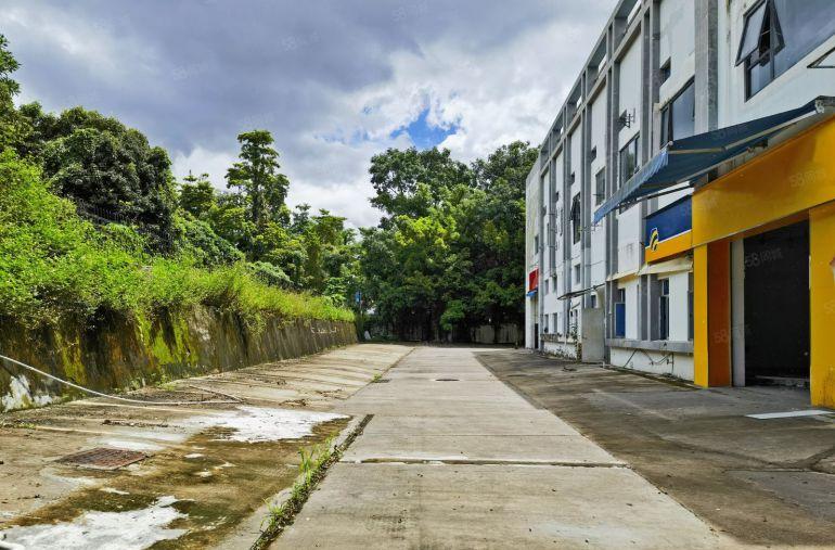 南山科技园 新出独门独院厂房2000平 临近主干道