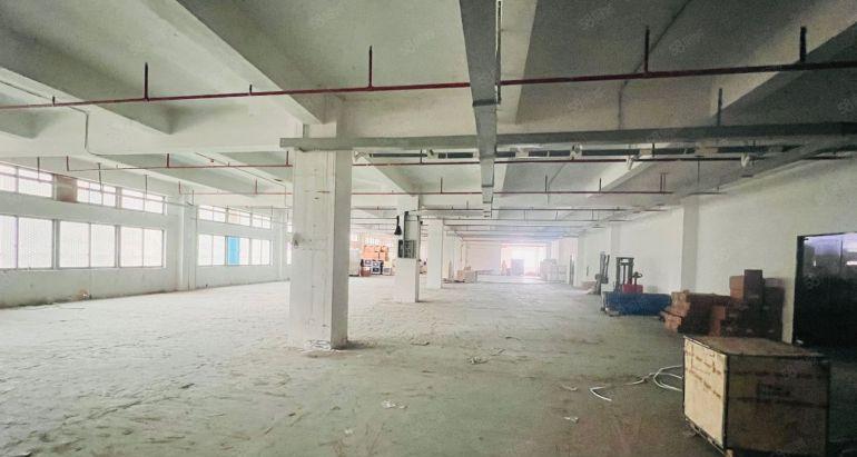 200平起 南山西丽留仙洞厂房整层3500平 可以分租