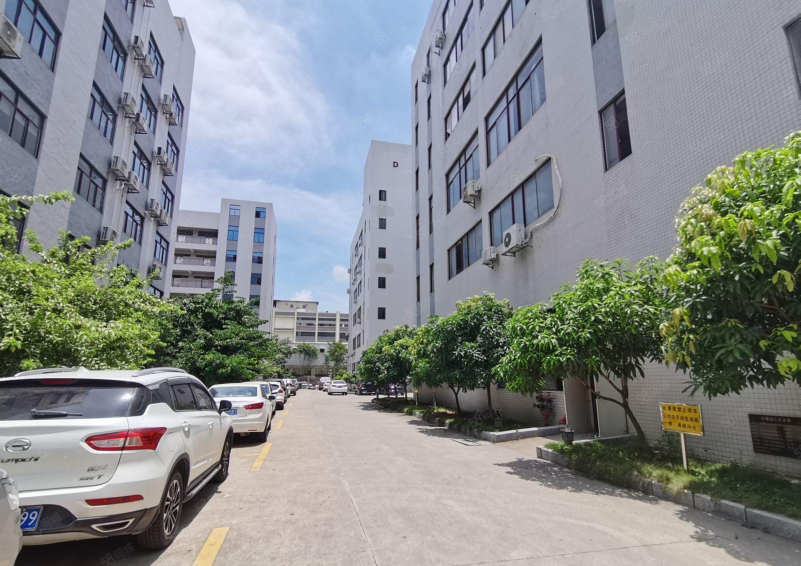 光明12000高新补贴厂 房出租，免租半年1000平起