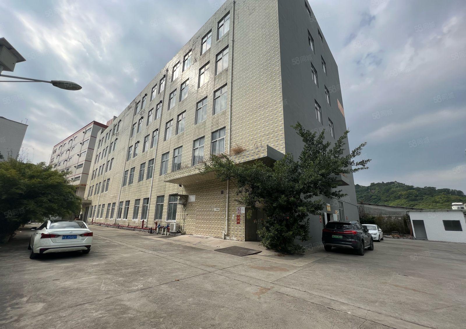 西丽独院厂房整层1716平 带货梯有消防 不限行业 已空置