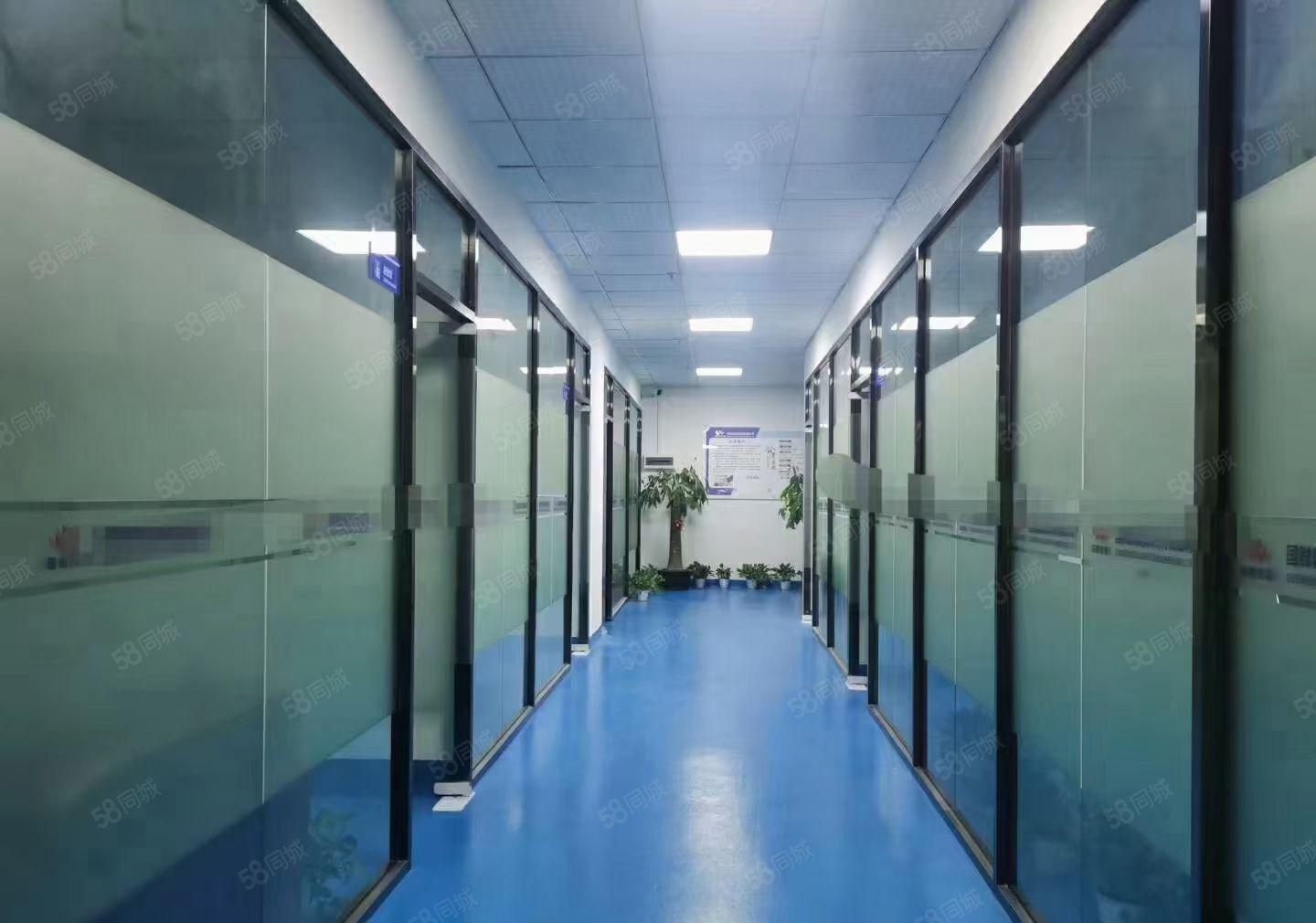 龙华红本高新技术园现成无尘车间厂房1100平，精装修办公室