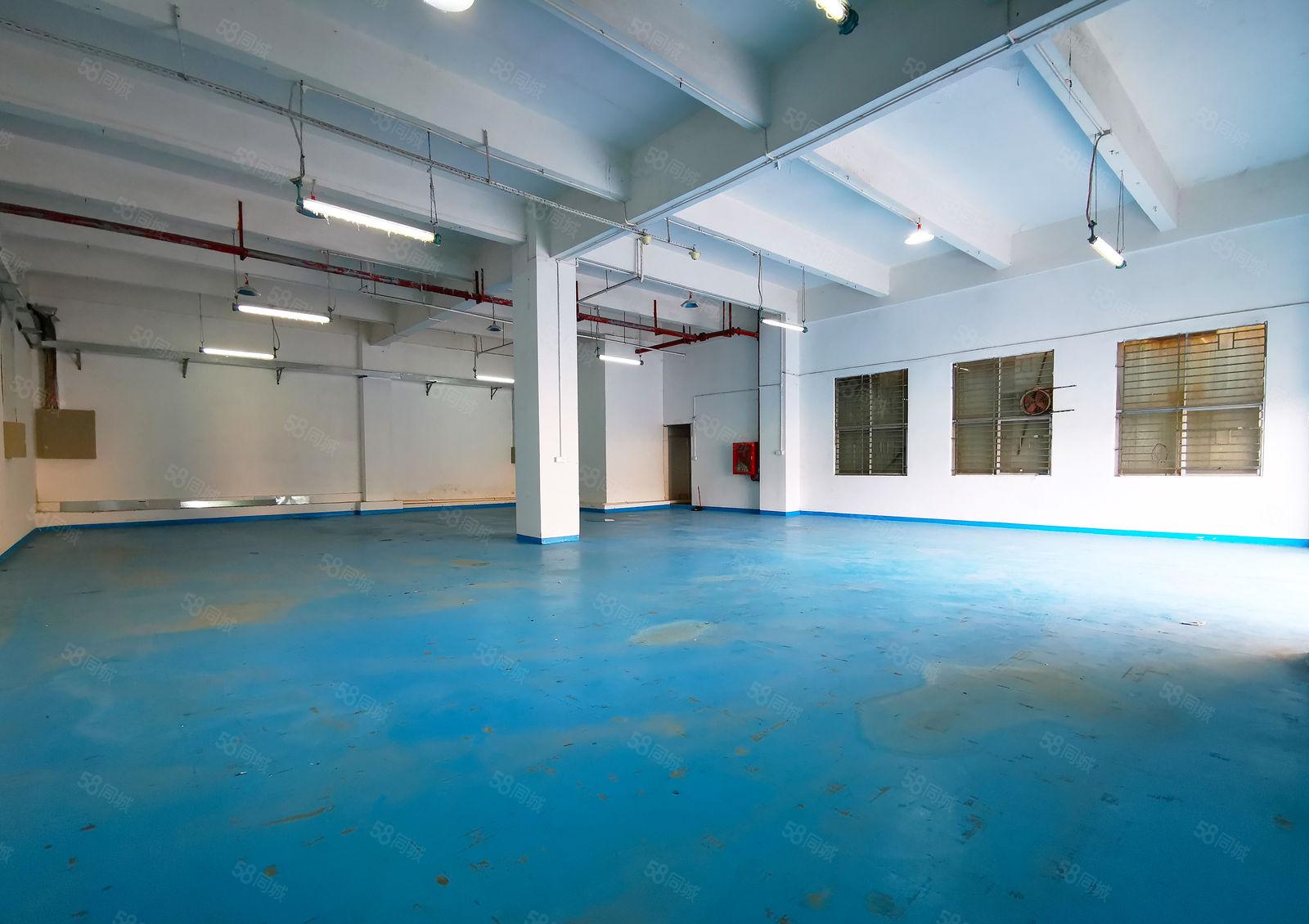 南山西丽一楼厂房出租 园区空地大一楼375平米 大车好进出