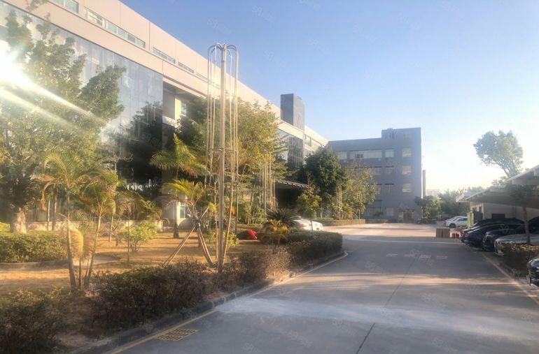 16块一平距离深圳盐田港8公里200平起分租共2万平高7米