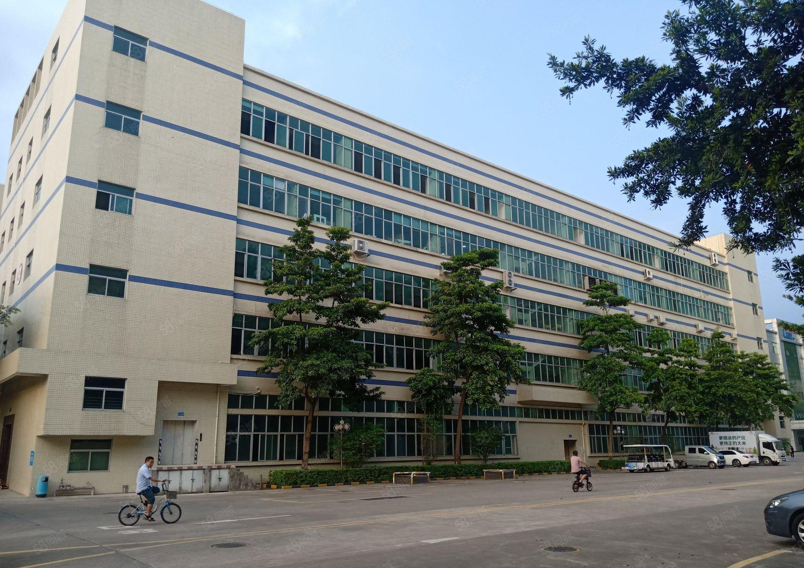 西丽大堪工业区200平至5000平精装办公室电商仓库厂房出租