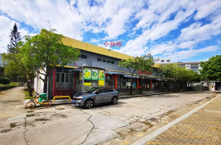 南山西丽（公园厂房）新出整栋7769平 空地超大 环境非常好