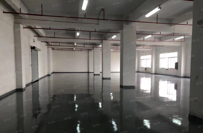 八卦岭带装修 仓库厂房出租200平 500平 1000平可分