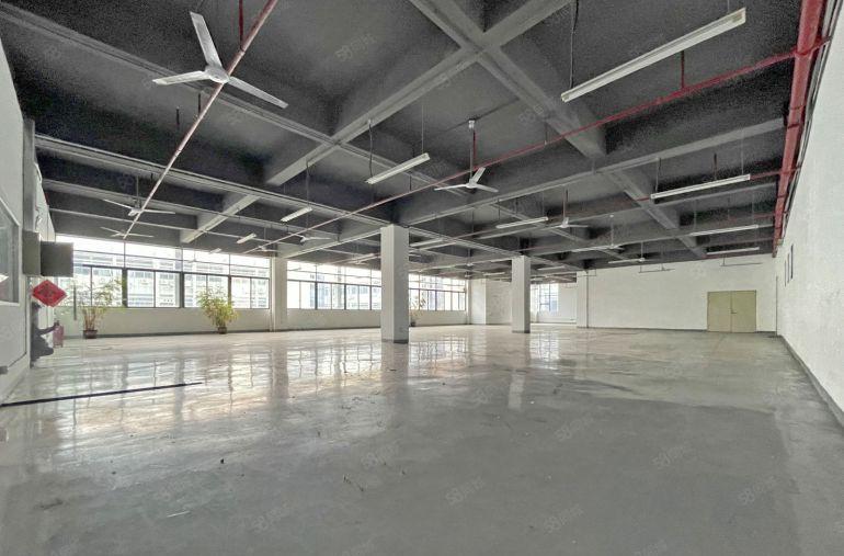 西丽百旺信工业园精装整层2780平可分租