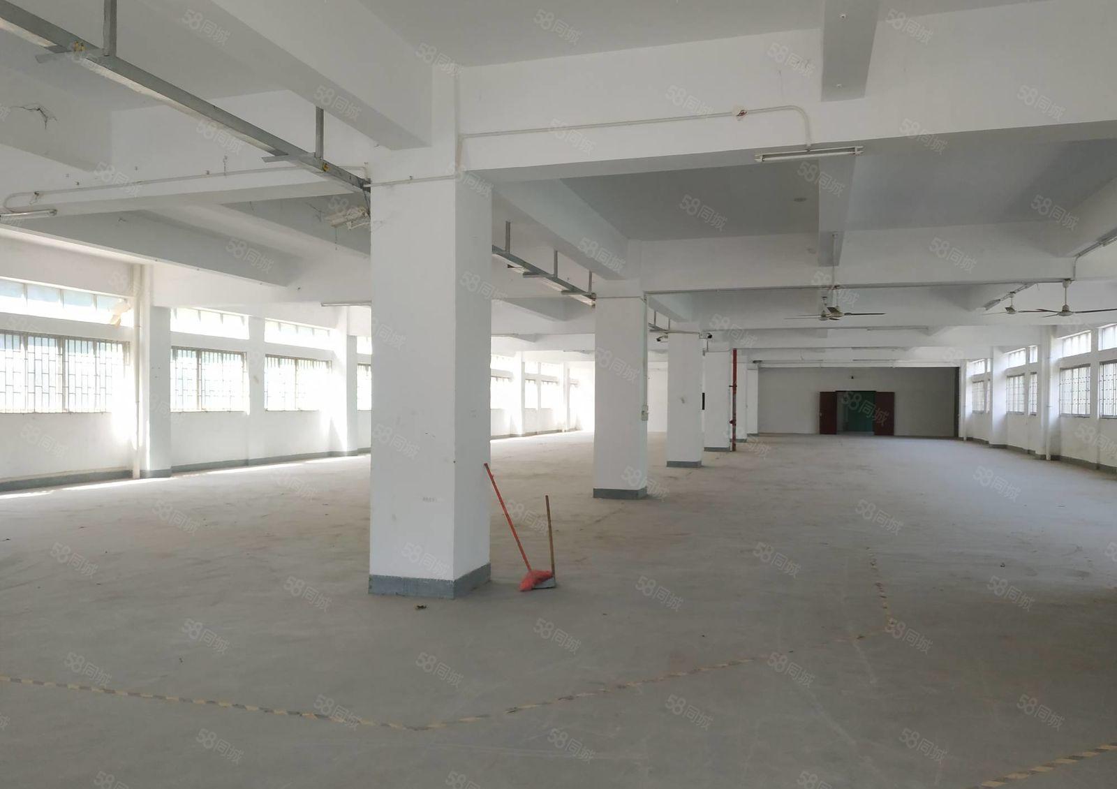 南山西丽 大磡工业区新出1500平厂房直租 带卸货平台