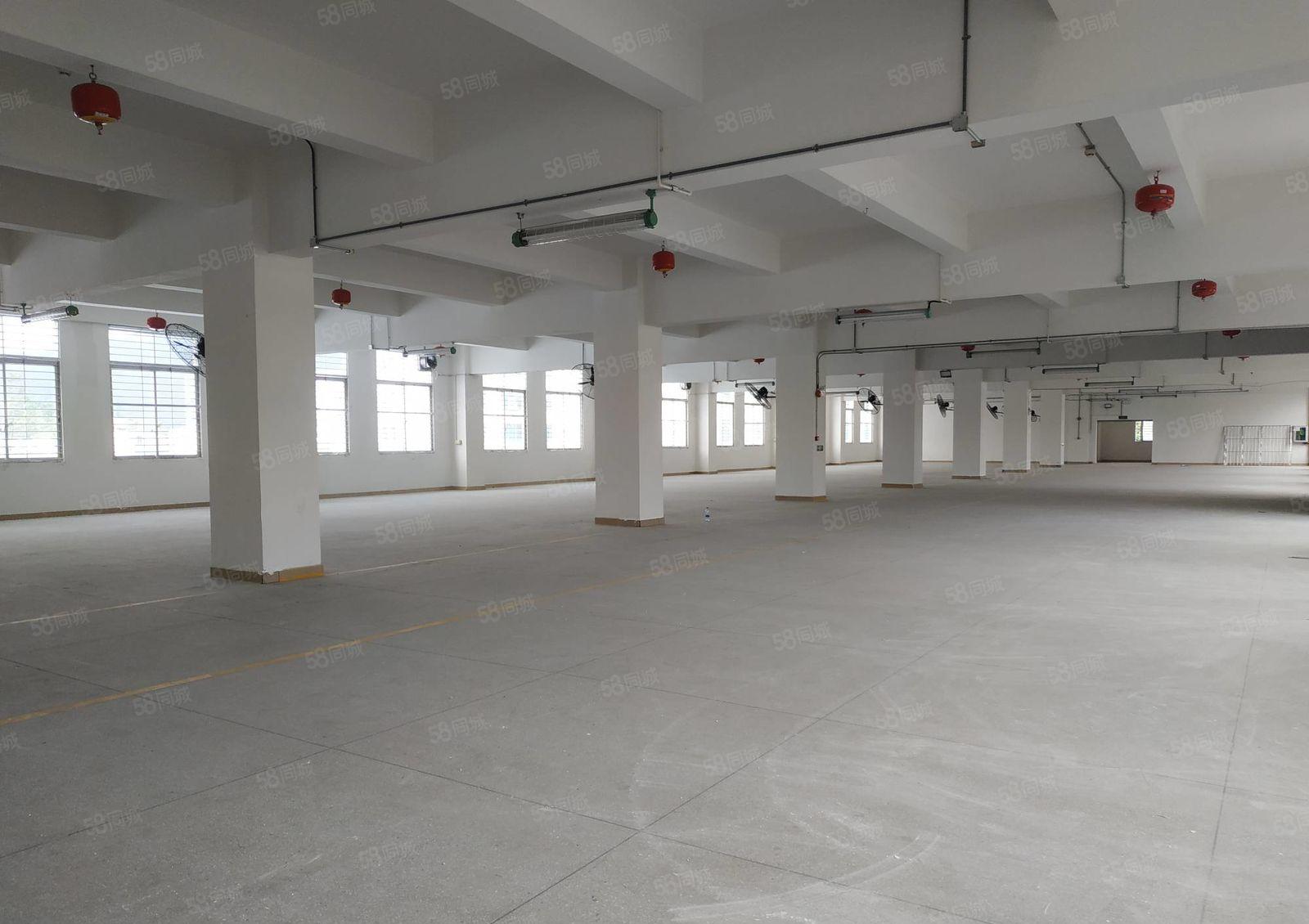 一手使用率 塘朗地鉄口 一楼整层1600平直租