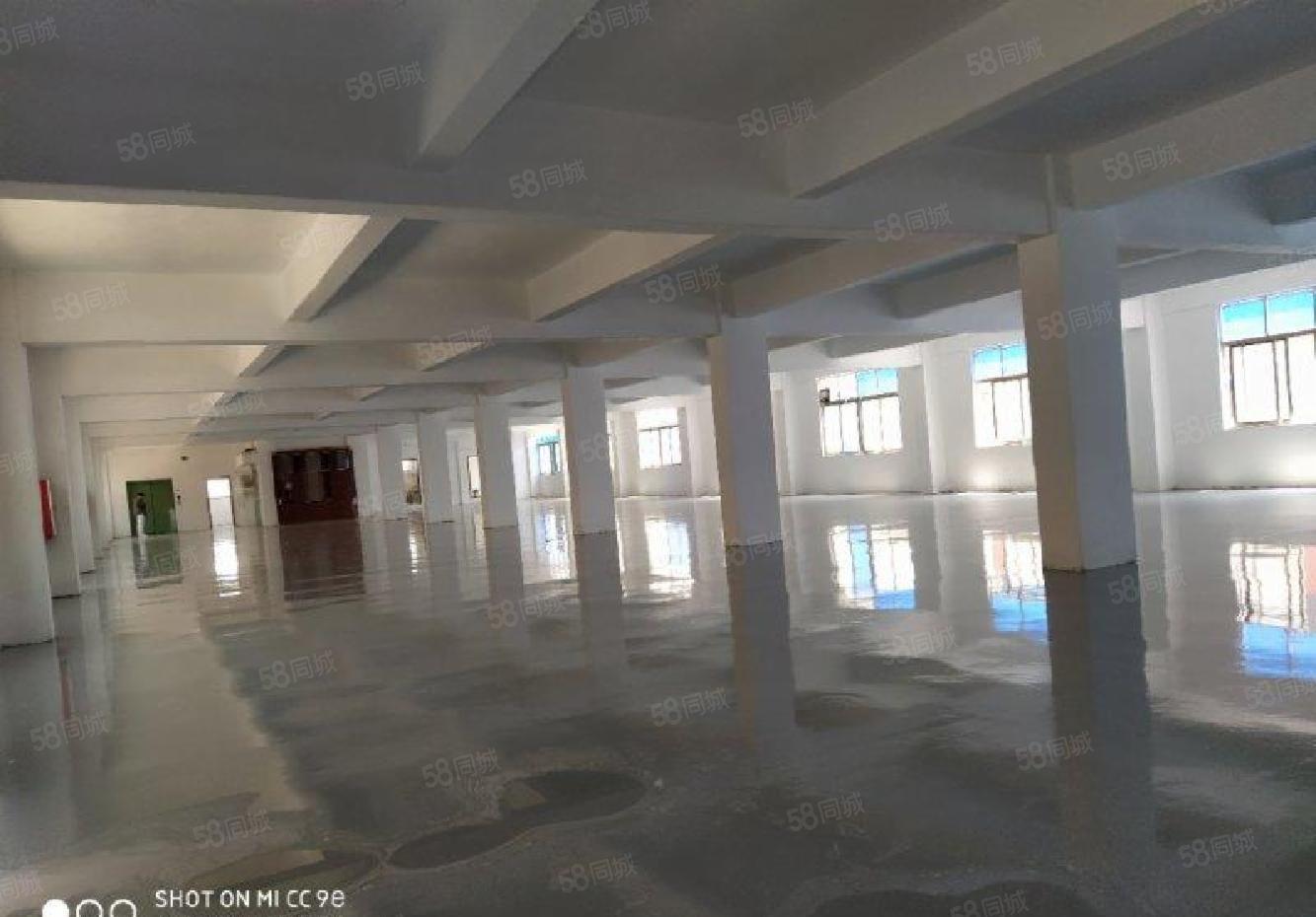 沙井107国道旁工业园独院独栋厂房5400平不分租，精装修