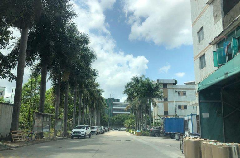 横岗简龙村花园式高标准一楼厂房仓库招租