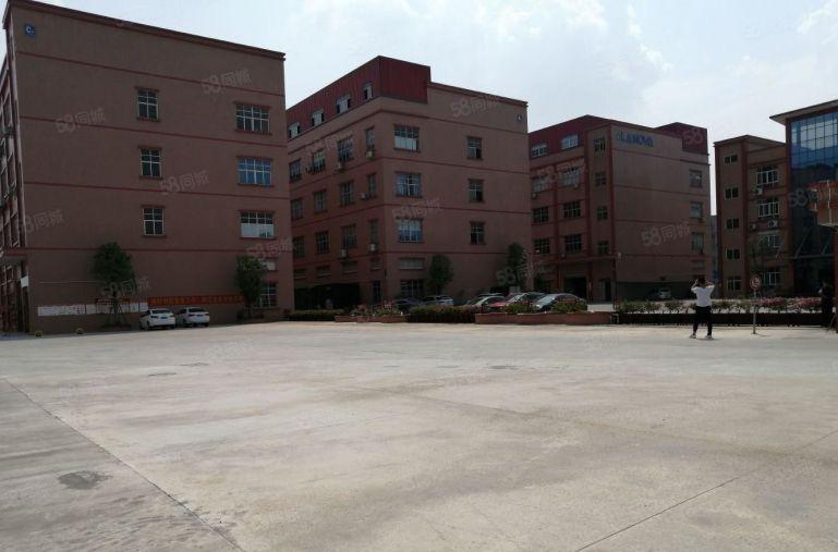 南山西丽工业区新出1000平标准厂房出租仓库招租大小面积可租