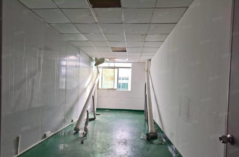 整层装修好厂房招租 地铁口 好招工 直接可以拎包入住