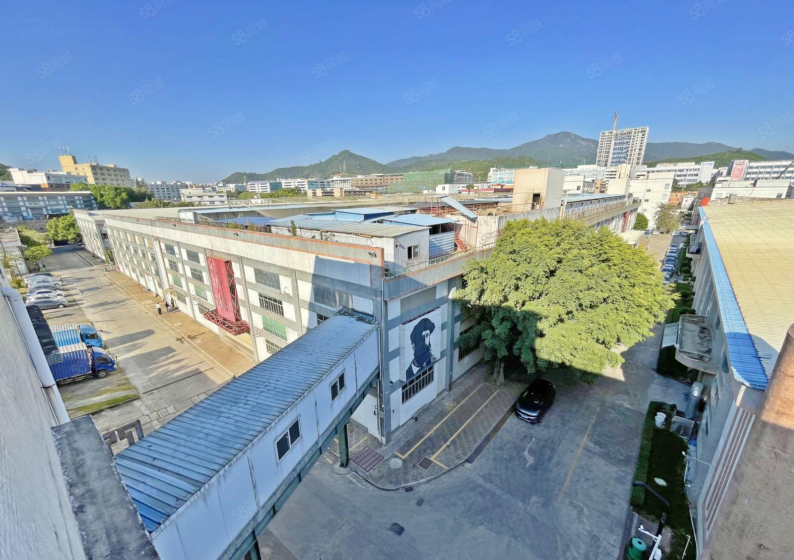 南山西丽 整栋7770平方  研发 检测 实验室半导体等其他