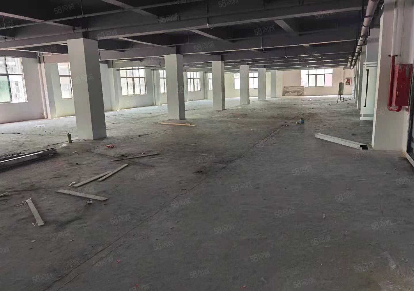 南山西丽文化园300，1300平精装修装修，一房东直租