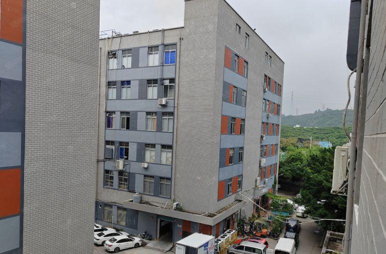 南山西丽大磡科技园 2002500方厂房直租 价格优惠