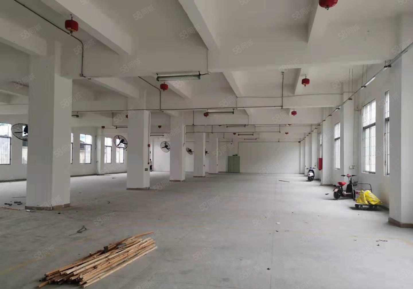 原房东独门独院每层1716平可分租，加工仓储办公等价格好谈