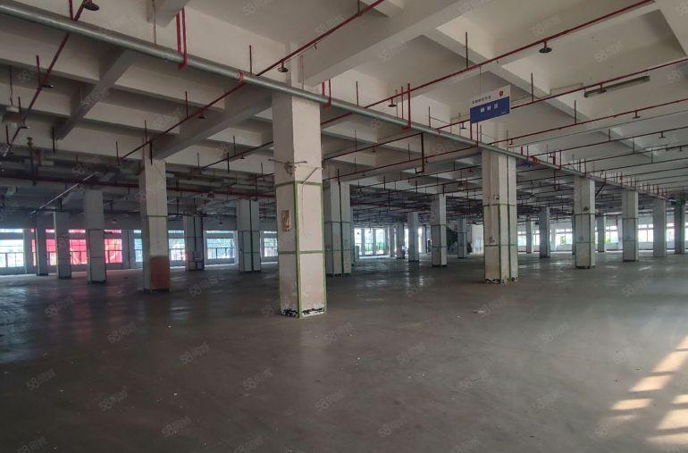 南山科技园新出一楼500平方厂房仓库超大空地带消防喷淋出租