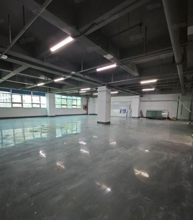 租金32元大小面积500平至4千平 南山西丽白芒 百旺阳光