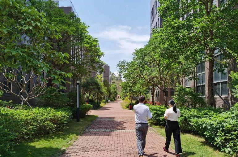 3500平南山南头工业区独栋办公楼研发楼厂房出租开发商低价招