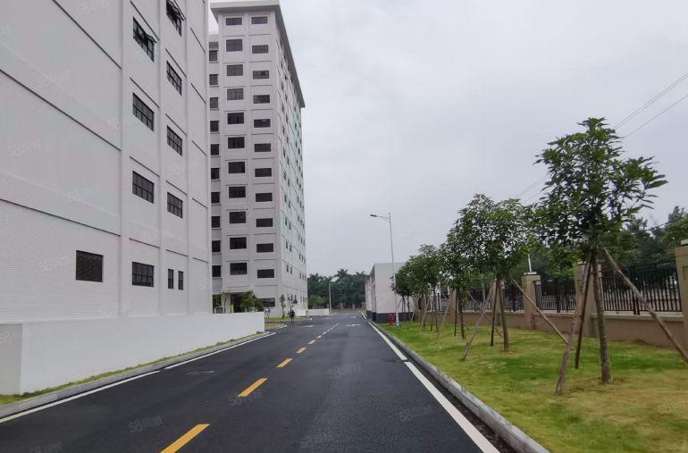 100平起租西丽阳光工业区厂房出租25元起一楼仓库招租合租