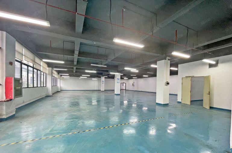 西丽百旺信工业园精装整层2780平可分租