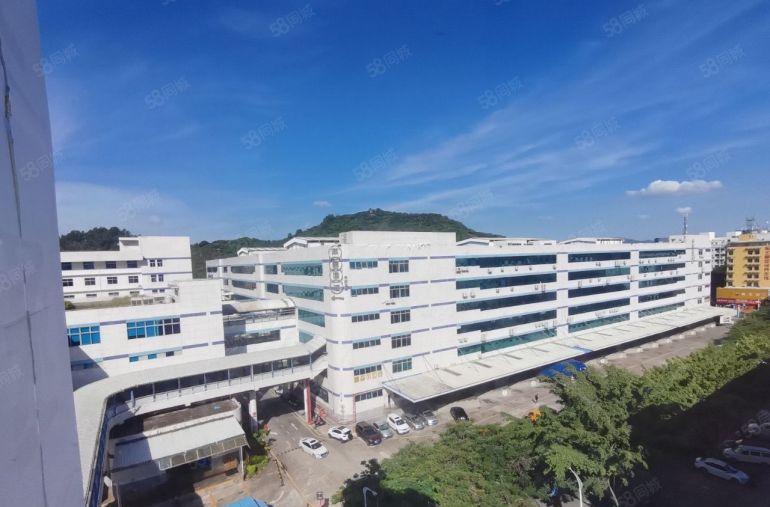 租金19 南山西丽卸货平台 进大车厂房仓库办公5800平可分