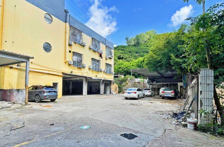 南山中心 独门独院1600平带600平院子赠送 行业不限