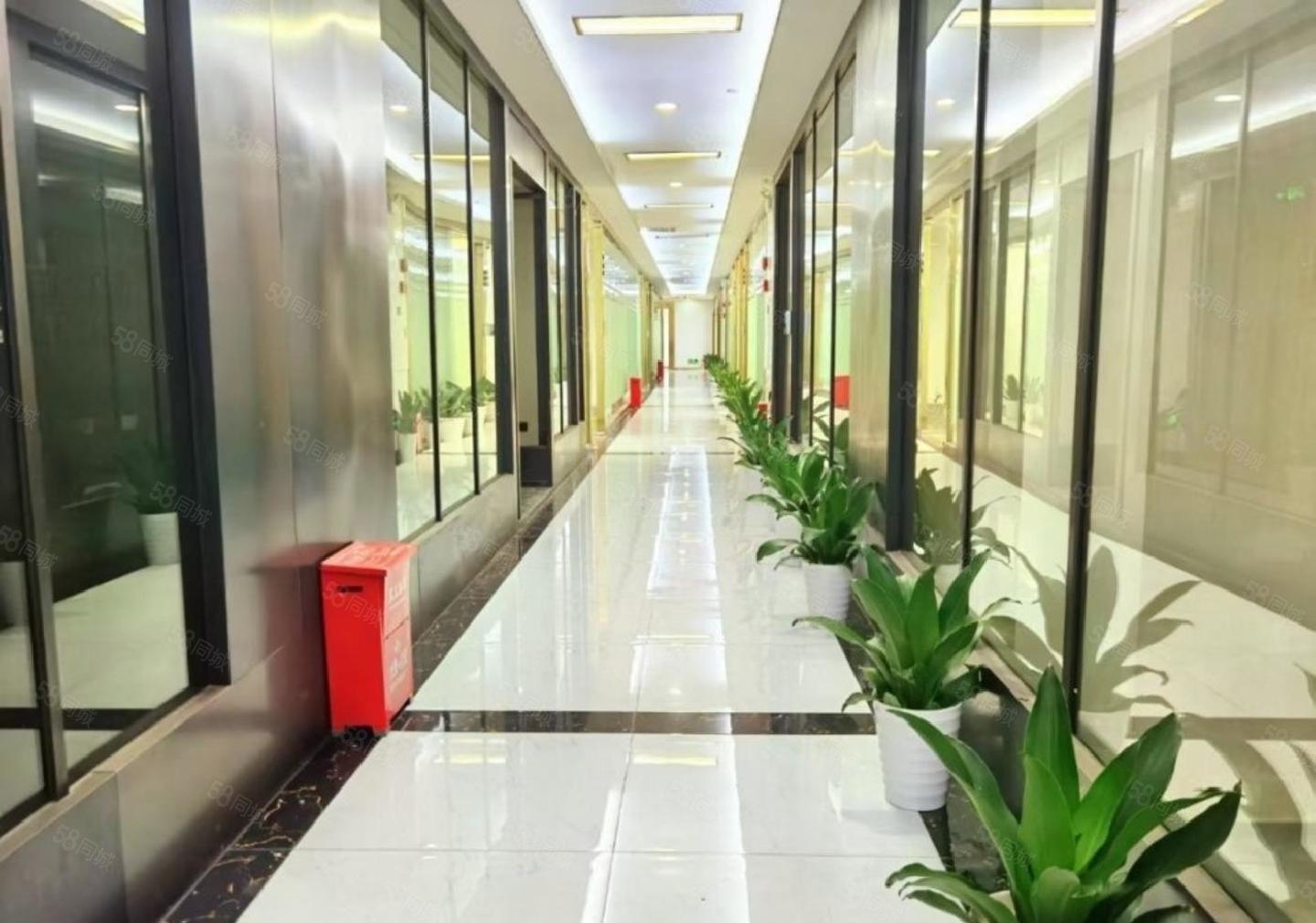 科技园北区 345平特价65元 带家私 可备案 园林式办公