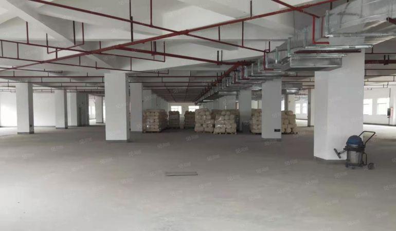 龙华主干道独院红本厂房出租5万平方共三栋适合教育培训展厅电商