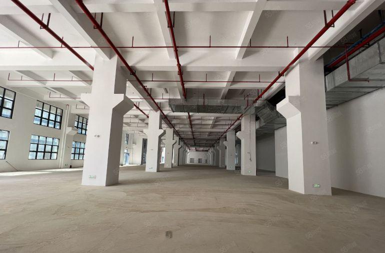 一楼15元实际面积全新红本厂房出租1000平大小可分交通便利