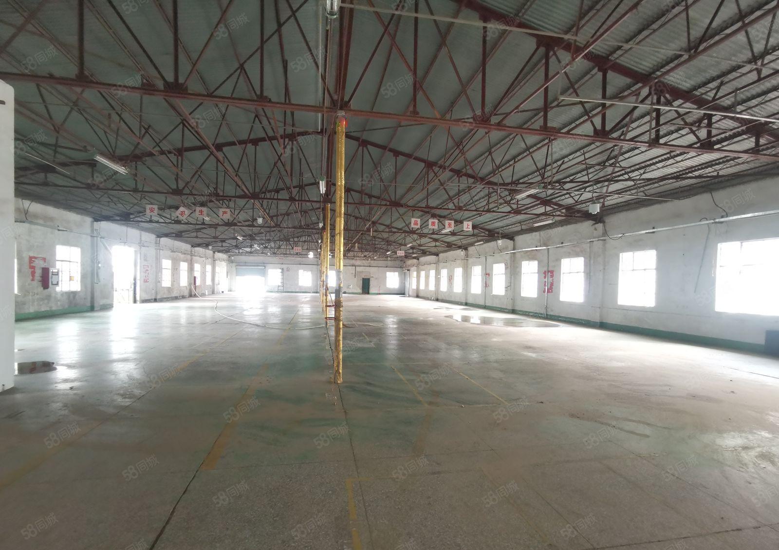 西丽动物园附近自有仓库2200平，房东直租