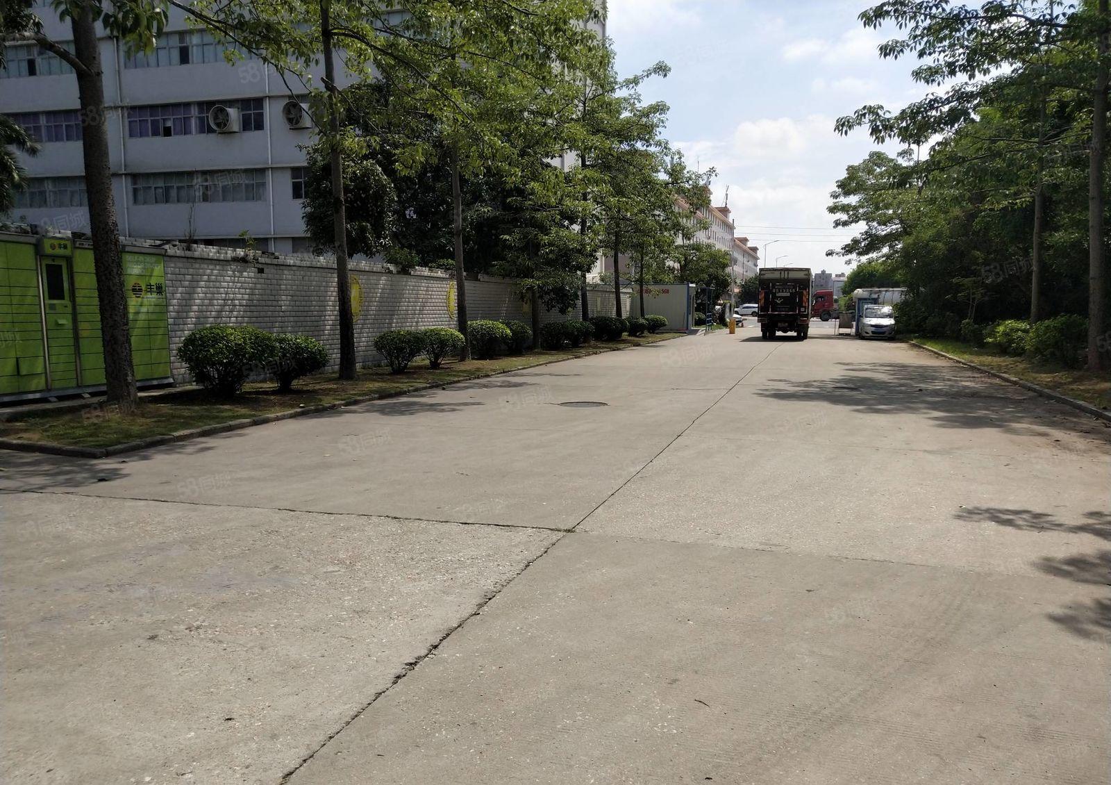 200平起分租南山西丽原房东工业园1000平仓库厂房出租整租