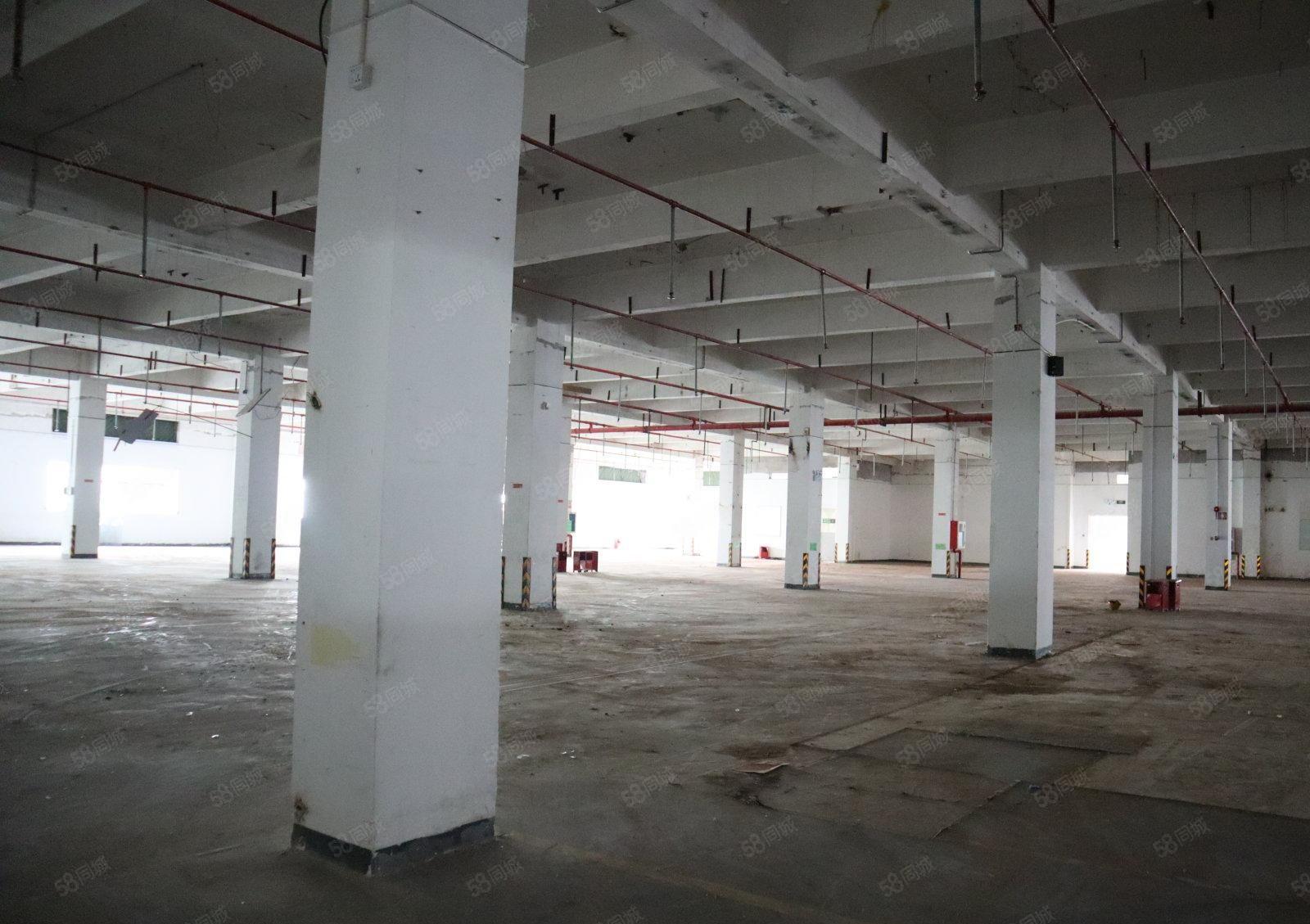 南山松白路原房东大面积百旺创意工厂停车位充足4000平可分