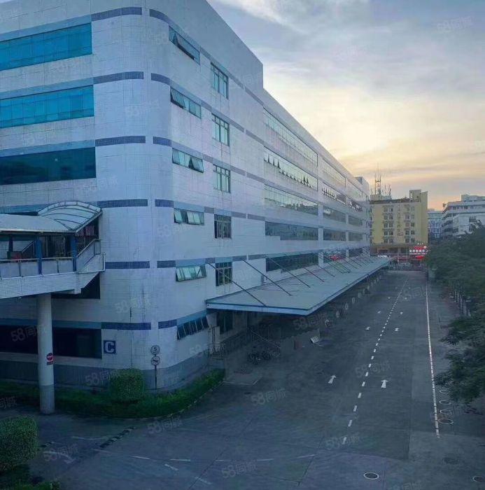 南山西丽高薪智能产业园200，500平双面采光，使用率高