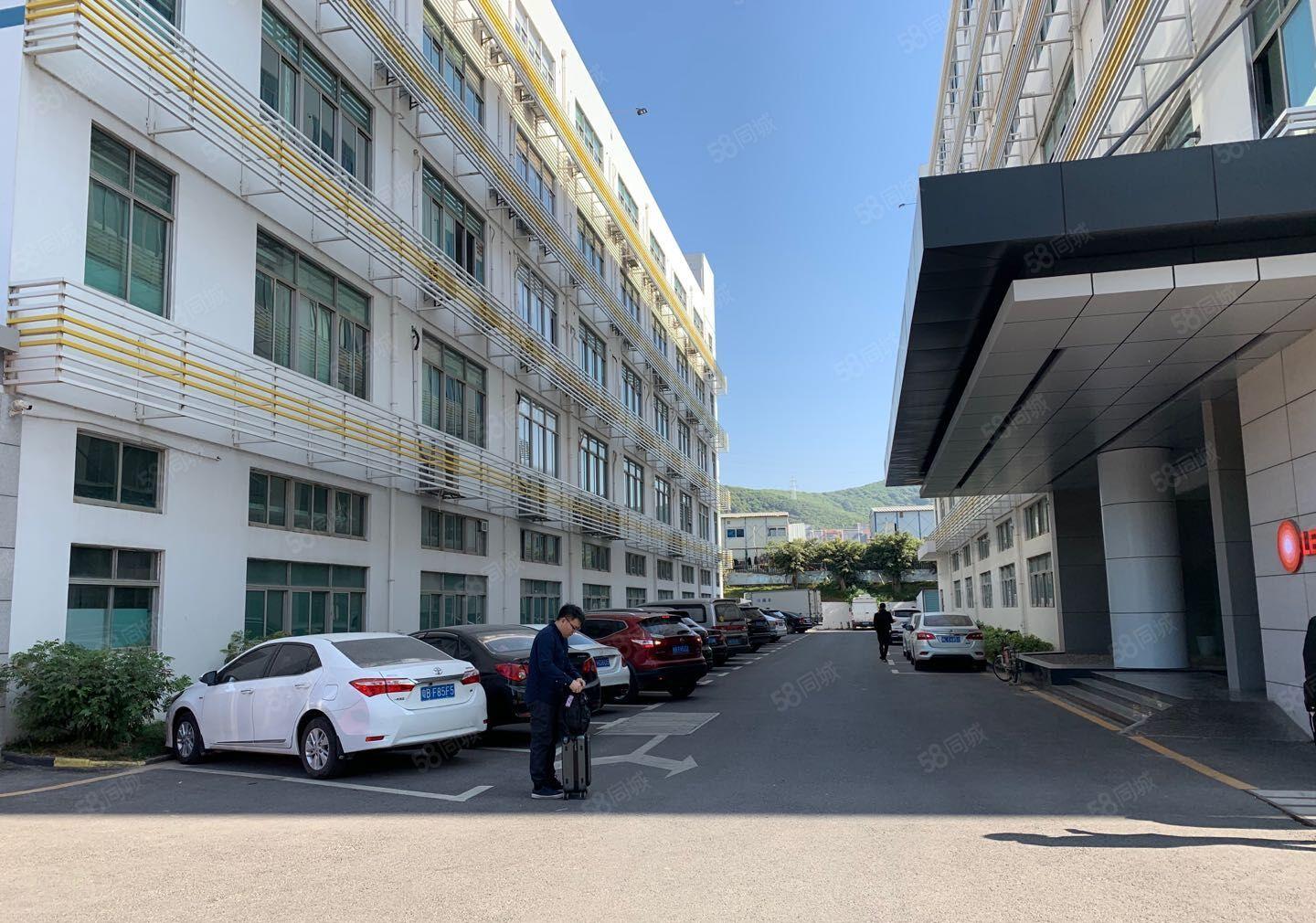 南山西丽文化园300，1300平精装修装修，一房东直租