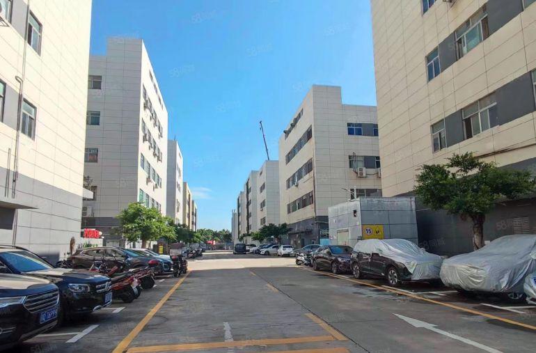 南山科技园工业园原房东精装修500平方办公室厂房仓库低价出租